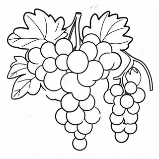 Halaman Mewarna Anggur Ungu Berjus 107794 44875