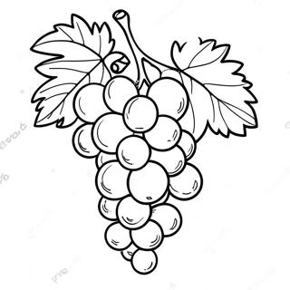 Halaman Mewarna Anggur Ungu Berjus 107794 44876