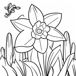 Daffodil Halaman Mewarna