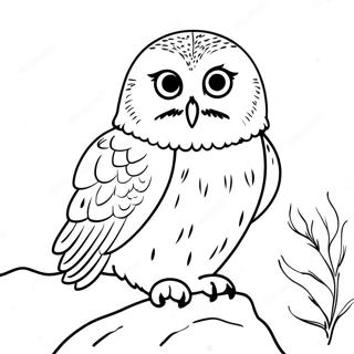 Halaman Mewarna Burung Hantu Salji Yang Menawan 123432-57745